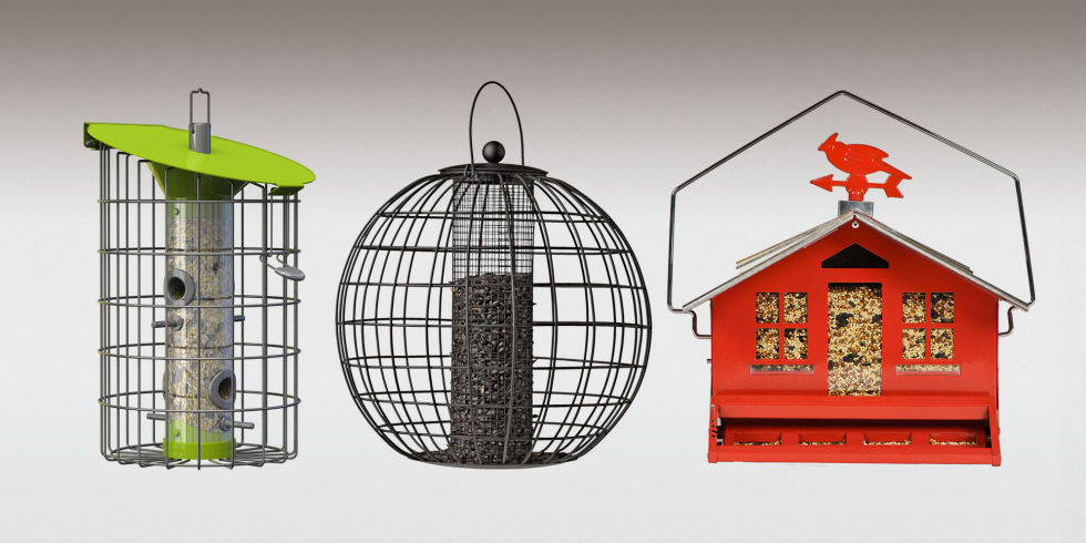 Bird Feeders Black Friday Deals