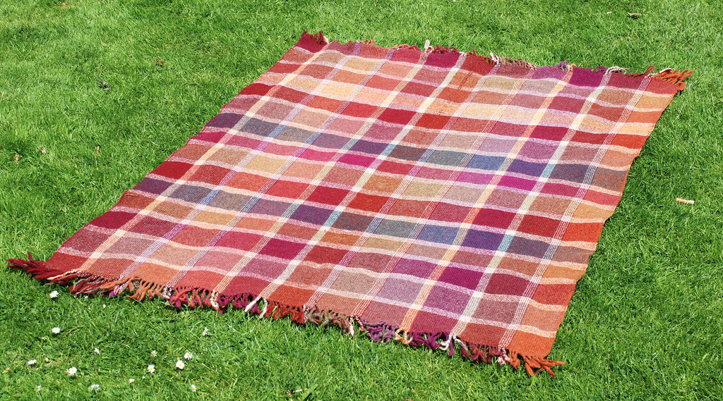 best picnic blanket